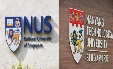 Study tour (Customized)